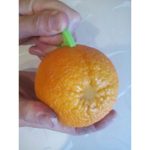 پوست کن انگشتی مرکبات