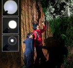 چراغ قوه پلیسی تک لایت