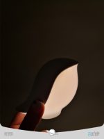 چراغ خواب و شارژر وایرلس گنجشک