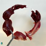 سیخ دایره ای کباب