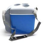 یخچال و گرم كن فندكي ماشين