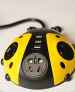 چندراهی برق کفشدوزک