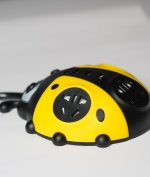 چندراهی برق کفشدوزک