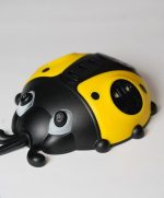 چندراهی برق کفشدوزک