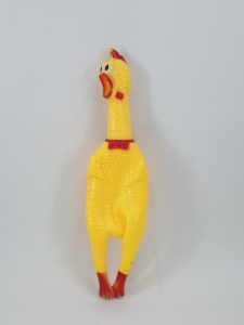 مرغ صدادار بزرگ