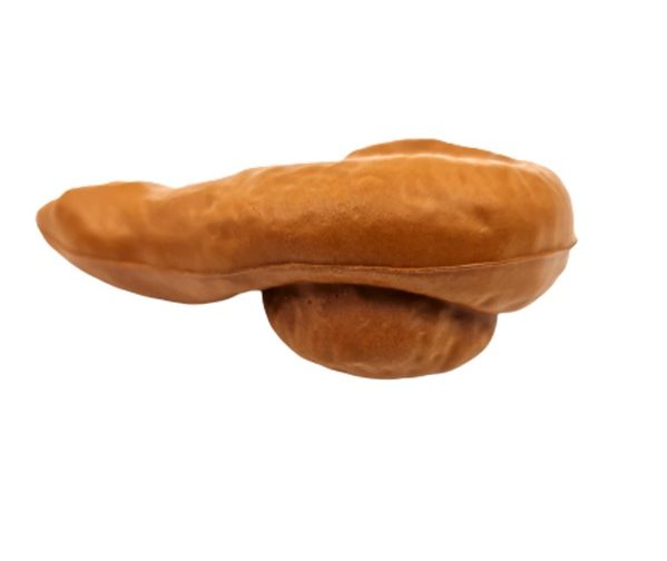 پی پی شوخی