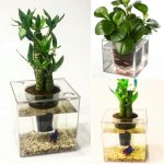 گلدان آکواریوم