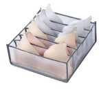 نظم دهنده لباس زیر