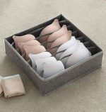 نظم دهنده لباس زیر