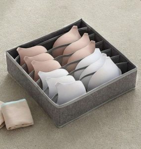 نظم دهنده لباس زیر