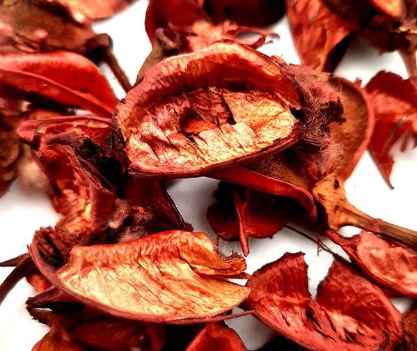 گل خشک کادویی