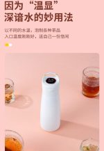 تراول ماگ هوشمند