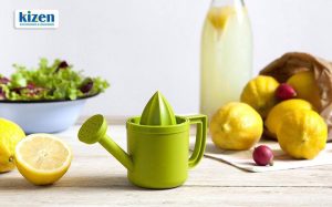آبمیوه گیری فانتزی kizen