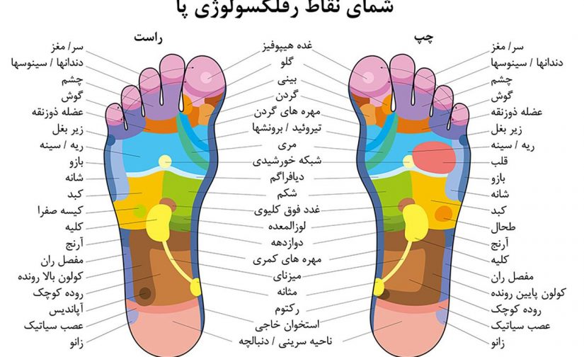پد صفحه ای گرد ماساژ پا