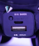 پاوربانک فانتزی سگ فرنچ