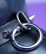 پاوربانک فانتزی سگ فرنچ