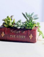 گلدان طرح کتاب