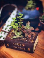 گلدان طرح کتاب