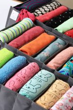 ارگانیزر کشو