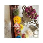 اسماج گیاهی