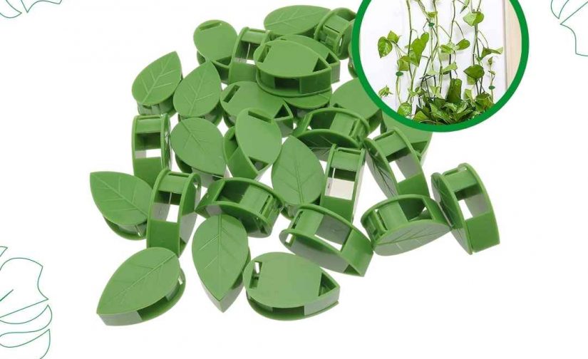 کلیپس نگهدارنده گیاه رونده