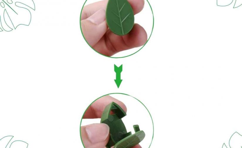 کلیپس نگهدارنده گیاه رونده
