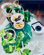 شیرینی خوری دو طبقه طرح پاپیون