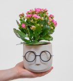 گلدان عینکی glaf
