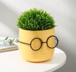 گلدان عینکی glaf