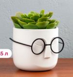 گلدان عینکی glaf